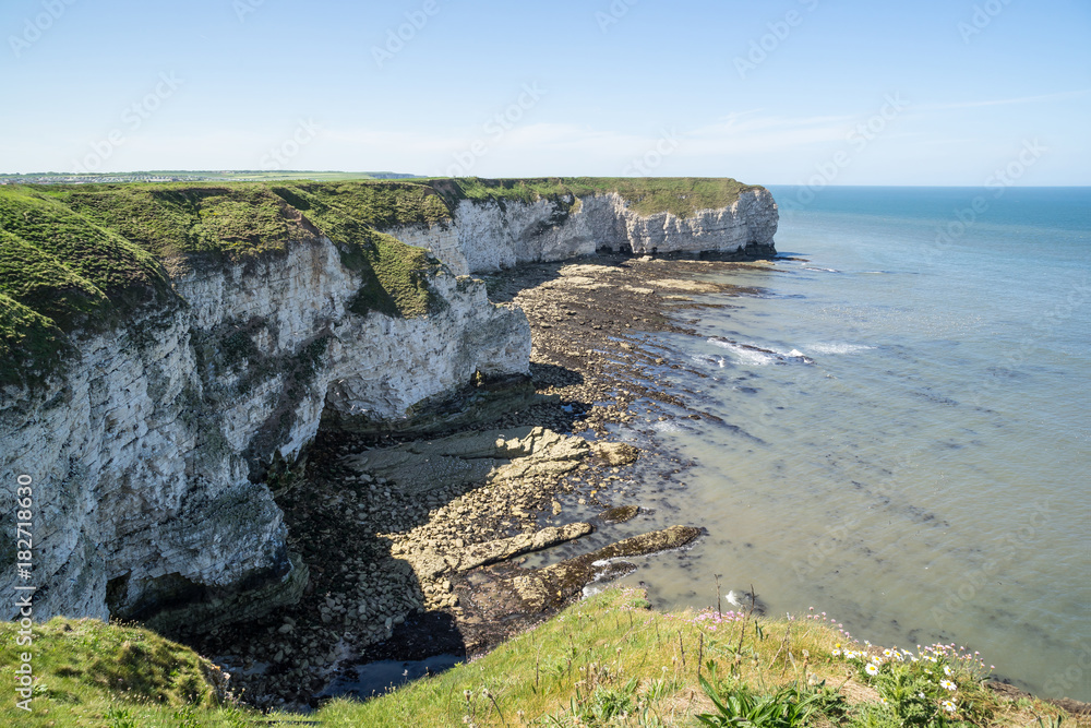 Fototapeta premium Flamborough, Yorkshire, UK. Chalk sea cliffs to the north of Flamborough Head.