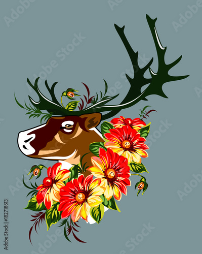 Portrait of a forest deer