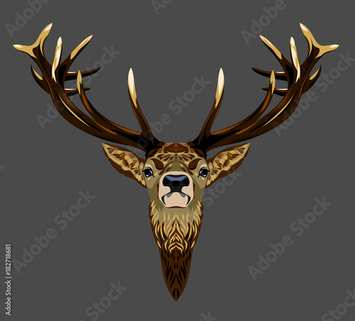 Portrait of a forest deer