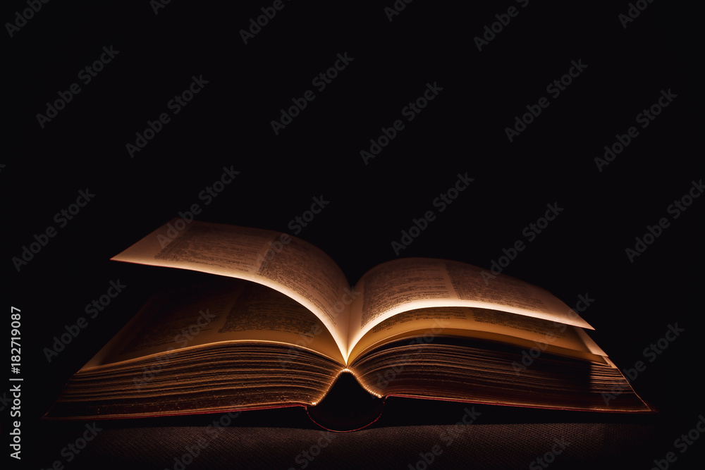 Fototapeta premium Old Open Book