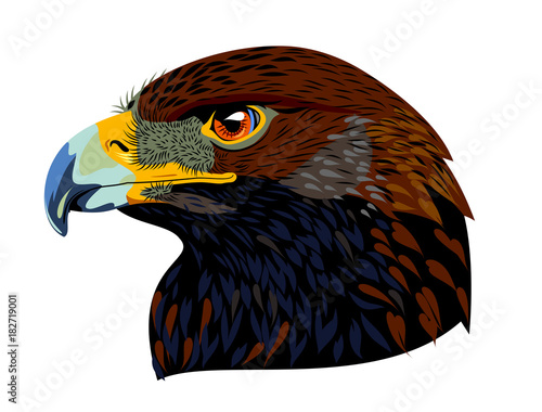 Portrait of an eagle