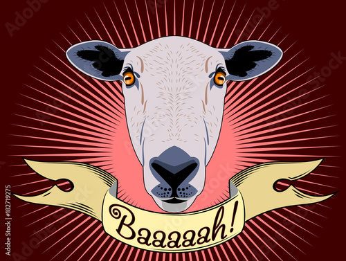 Portrait of a sheep