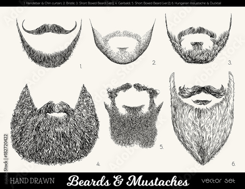 Vector set with beards and mustaches. Hand drawn illustration with fashionable men's styles. Linear Graphics. Kinds and names of beards