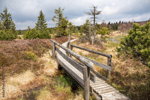Georgenfelder Hochmoor