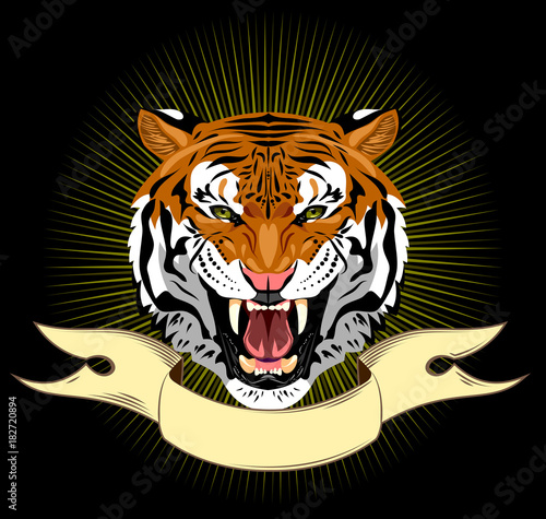 Fototapeta Naklejka Na Ścianę i Meble -  Portrait of a growling tiger on a banner background