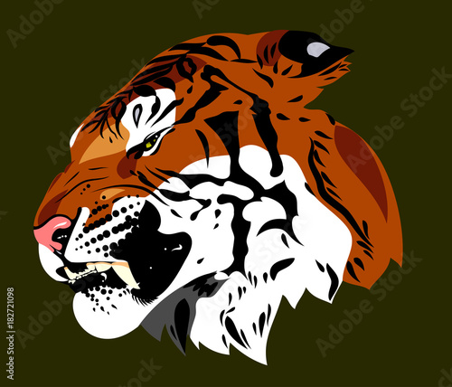 Fototapeta Naklejka Na Ścianę i Meble -  Portrait of a Ragged Tiger