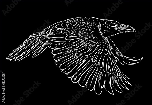 Portrait of a raven flying in the style of engravings (doodle)