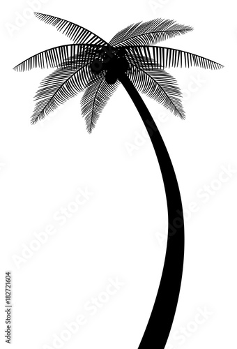 palm tree silhouette vector eps 10