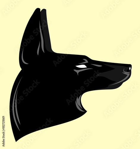 The head of the Egyptian god Anubis
