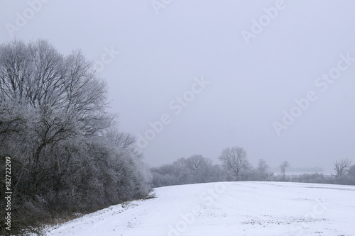 Ein Nebeltag iauf dem Schöppinger Berg photo