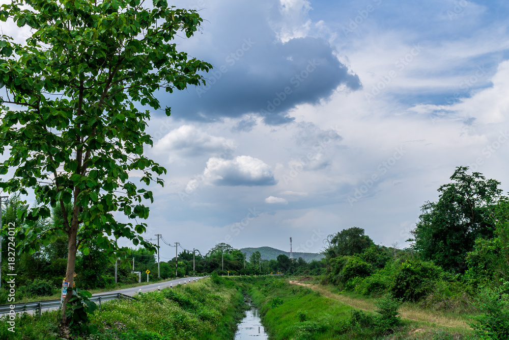 Obraz premium Irrigation canal
