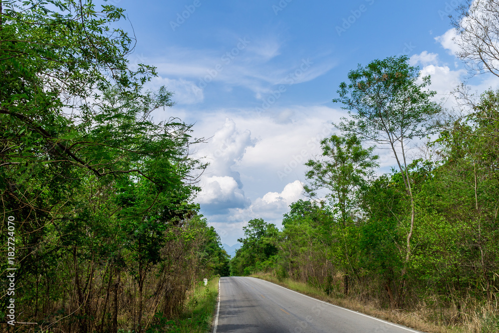 Fototapeta premium Serpentine road