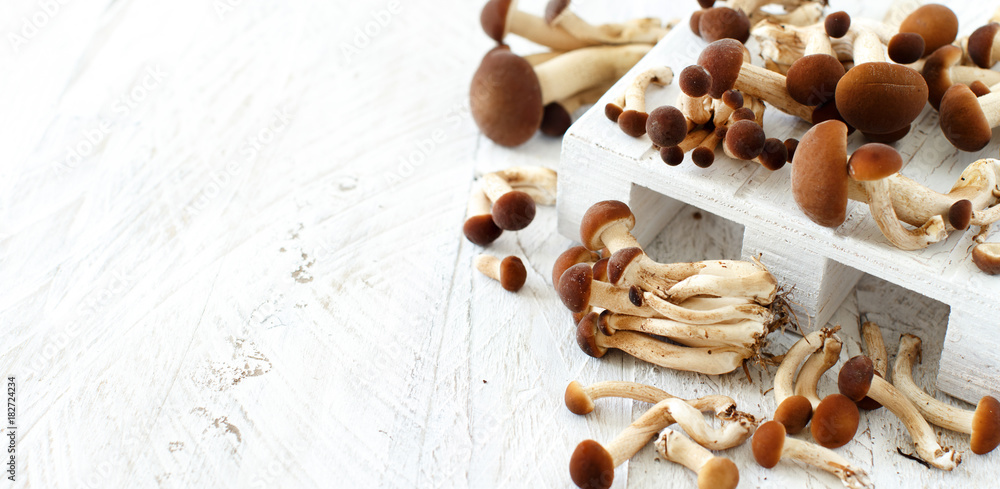 Agrocybe aegerita mushrooms (Pioppino) Agrocybe aegerita mushrooms (Pioppino)