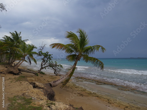 Playa Bonita - Las Terrenas - Saman   - Dominican Republican