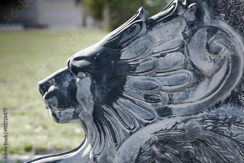 Slika na platnu The regal lion cries