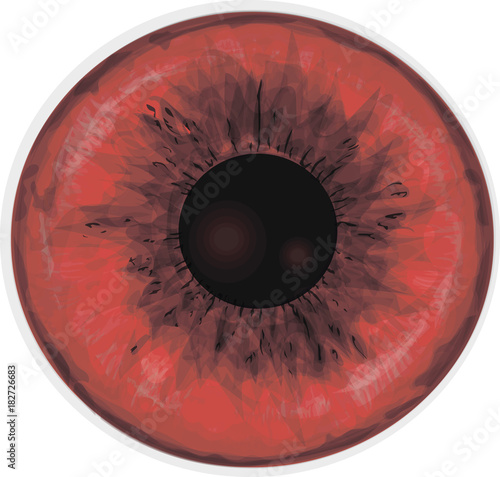 Vampire eye iris - Vector