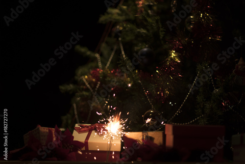 Christmas holding bengal bu...