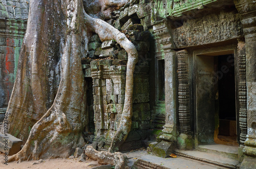 Ta Prohm temple, Angkor Wat, Cambodia