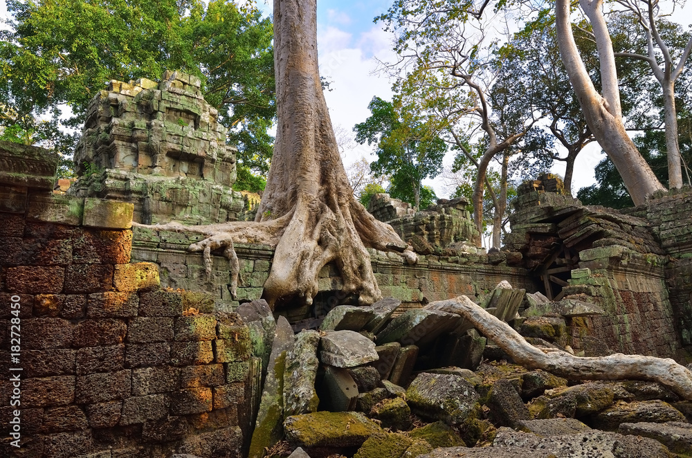 Ta Prohm temple, Angkor Wat, Cambodia