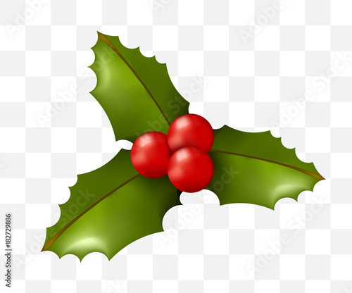 Christmas Time! Holly on Transparent Background. Isolated Vector Illustration 