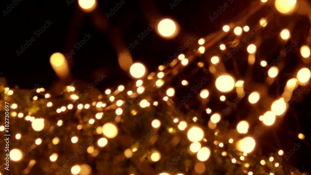 Lights on the tree. Blured lights close-up. Lights on the tree. Blured lights close-up.
