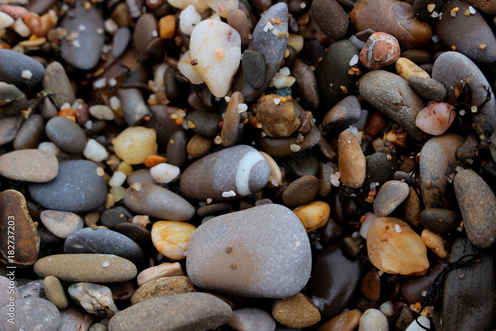 Stones of a bright multicolored moist pebble with particles of sand and algae lie scattered on the shore. Soft focus. Stones of a bright multicolored moist pebble with particles of sand and algae lie scattered on the shore. Soft focus.