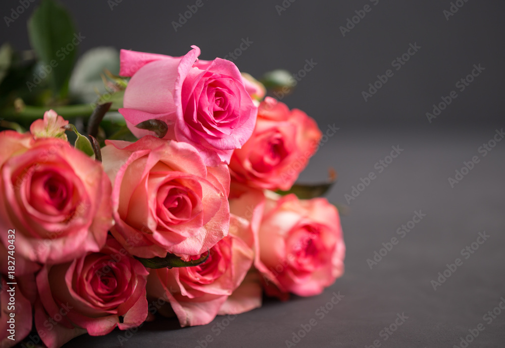 Roses close up. Beautiful roses on dark background Roses close up. Beautiful roses on dark background