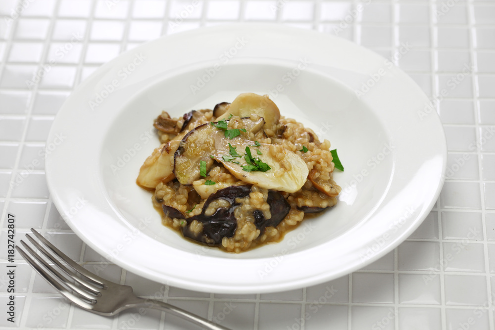 fresh porcini mushroom risotto fresh porcini mushroom risotto