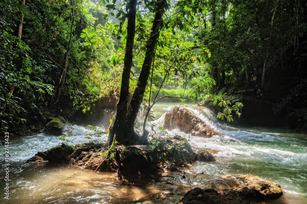 Obraz premium The River