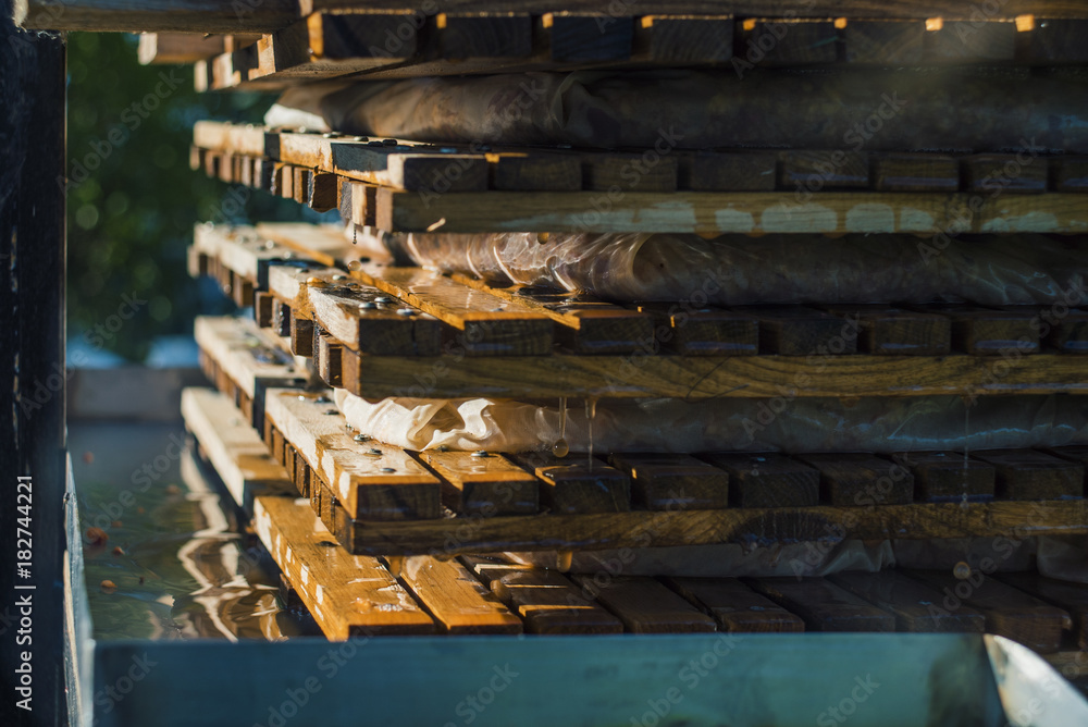 Naklejka premium Extracting apple juice manually, DIY press