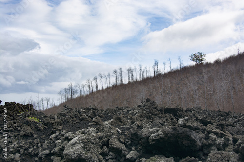 Lava soil from Etna volcano