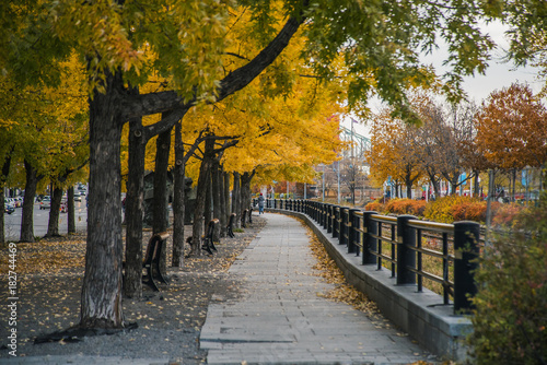 Autumn in Montreal, Canada