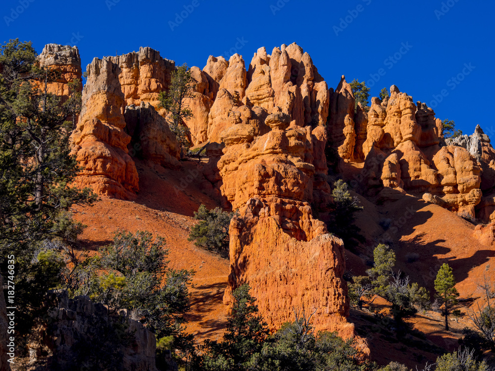 Red Canyon in Utah - amazing landscape
