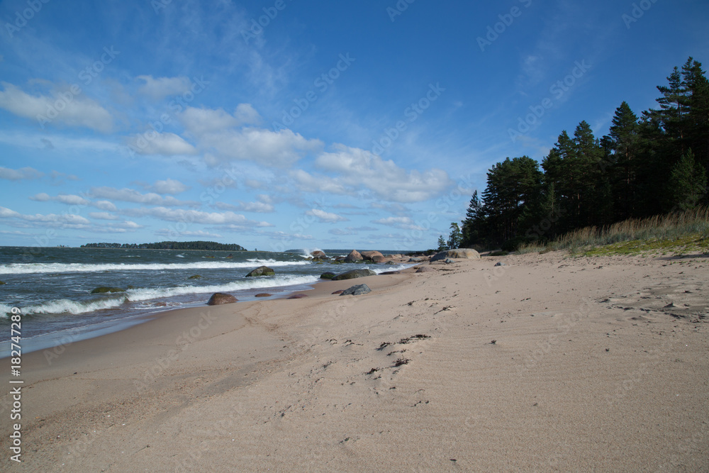 Wild nature beach in the Lahemaa National Park, Käsmu, on the horizon the island Kuradisaar, stormy, summer 