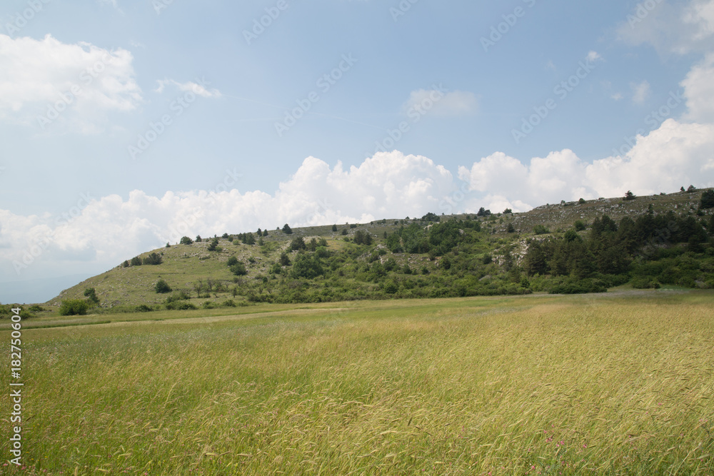 Paesaggio nella valle al Monte Della Selva, vicino Barisciano, inizio dell'estate 