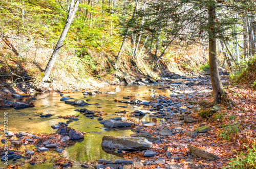 Fototapet East Fork Greenbrier River creek in West Virginia during colorful autumn with ma