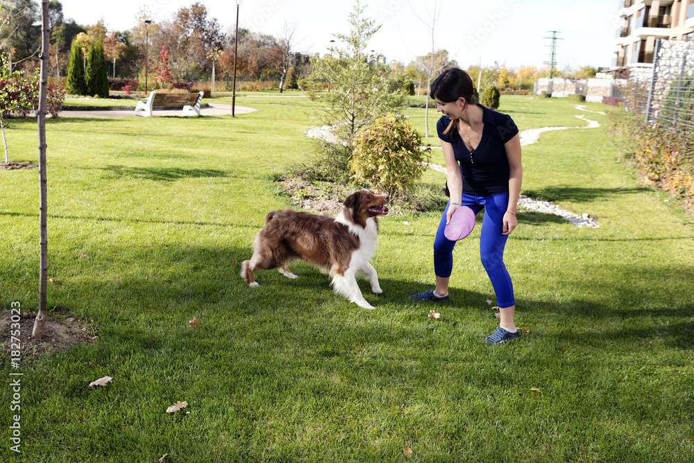 Dog Trainer Fetch Play Dog Trainer Fetch Play