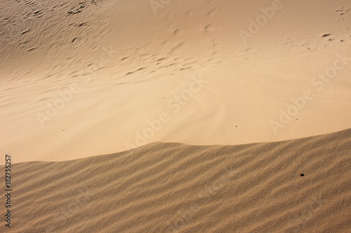 Sand. Beach dunes of Bologna  Tarifa  Spain.
