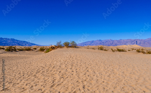 Beautiful Mesquite Sand Dunes at Death Valley California