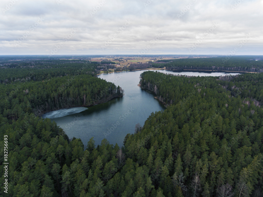 Aerial view of a lake surrounded with pine tree forest in Lithuania.