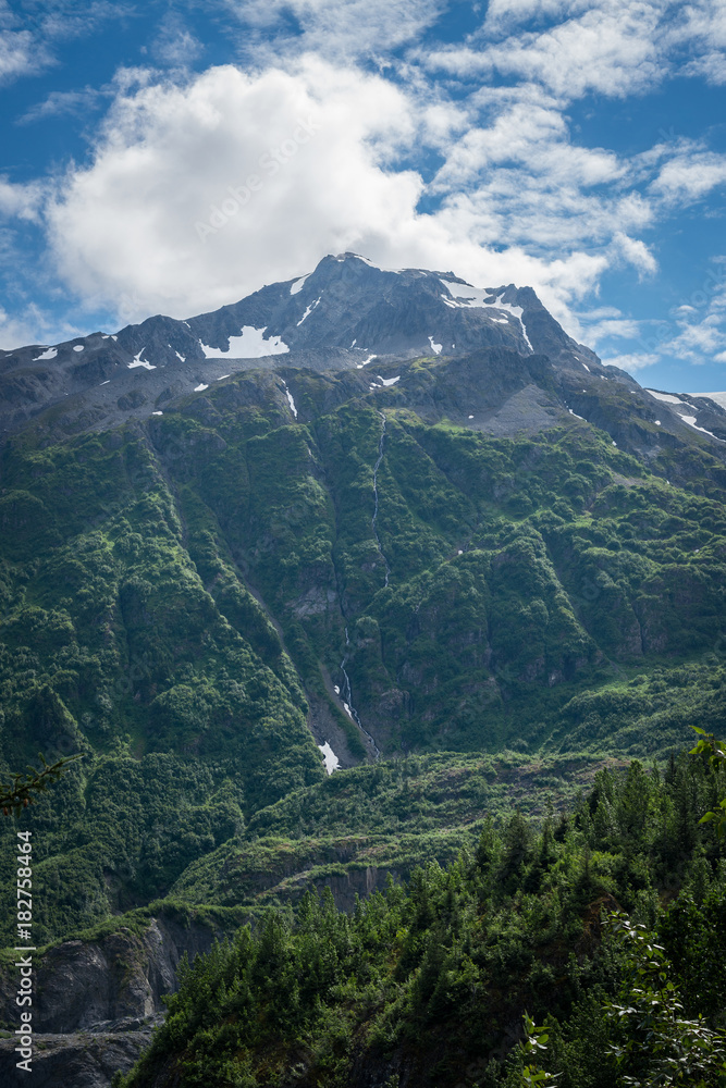 Obraz premium Mountain view from Exit Glacier hiking trail