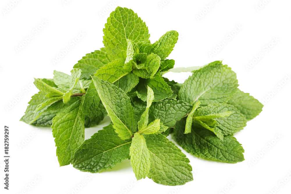 Fresh mint leafs isolated on white Fresh mint leafs isolated on white