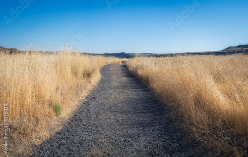 Pathway through tall grass in the countryside 