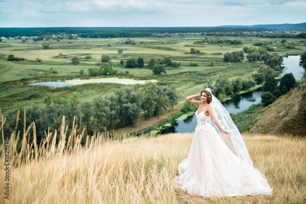Portrait of a young beautiful bride on a background of a gorgeous view. Girl in wedding dress