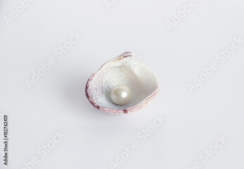 one single pearl in a sea shell isolated