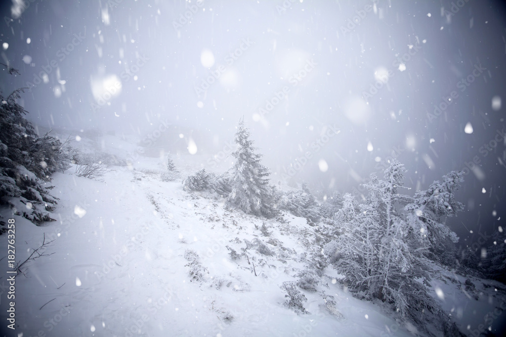Trees covered with hoarfrost and snow in winter mountains - Christmas snowy backgroundic holiday background Trees covered with hoarfrost and snow in winter mountains - Christmas snowy backgroundic holiday background