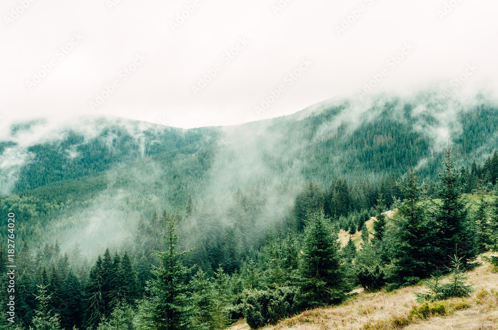 mountain landscape in the autumn fog mountain landscape in the autumn fog