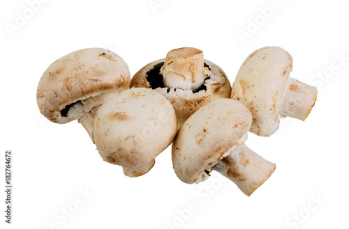 close-up group of five mushrooms Champignons