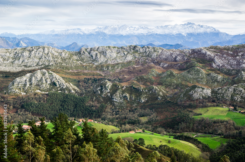 Picos de Europa Mountain Range landscape with a green field in the front and mountains covered by snow at the end