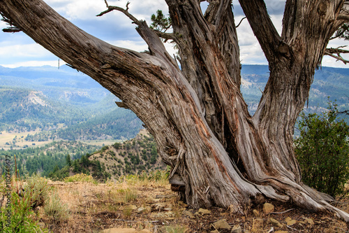 Mountain Landscape Near Chimney Rock National Monument in Colorado